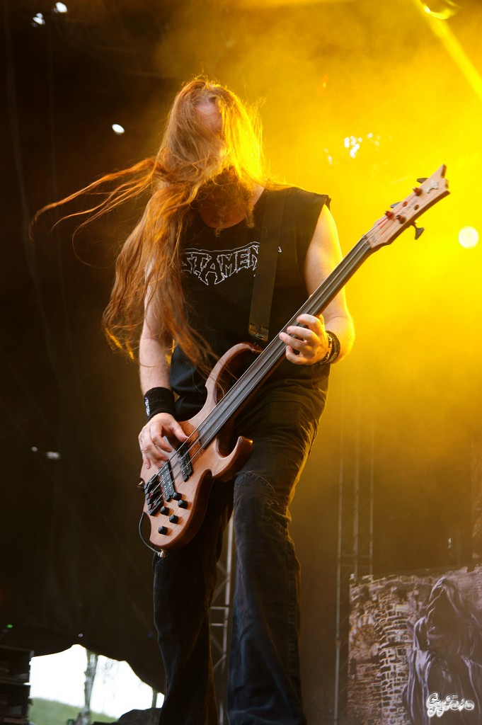 Steve DiGiorgio, Testament