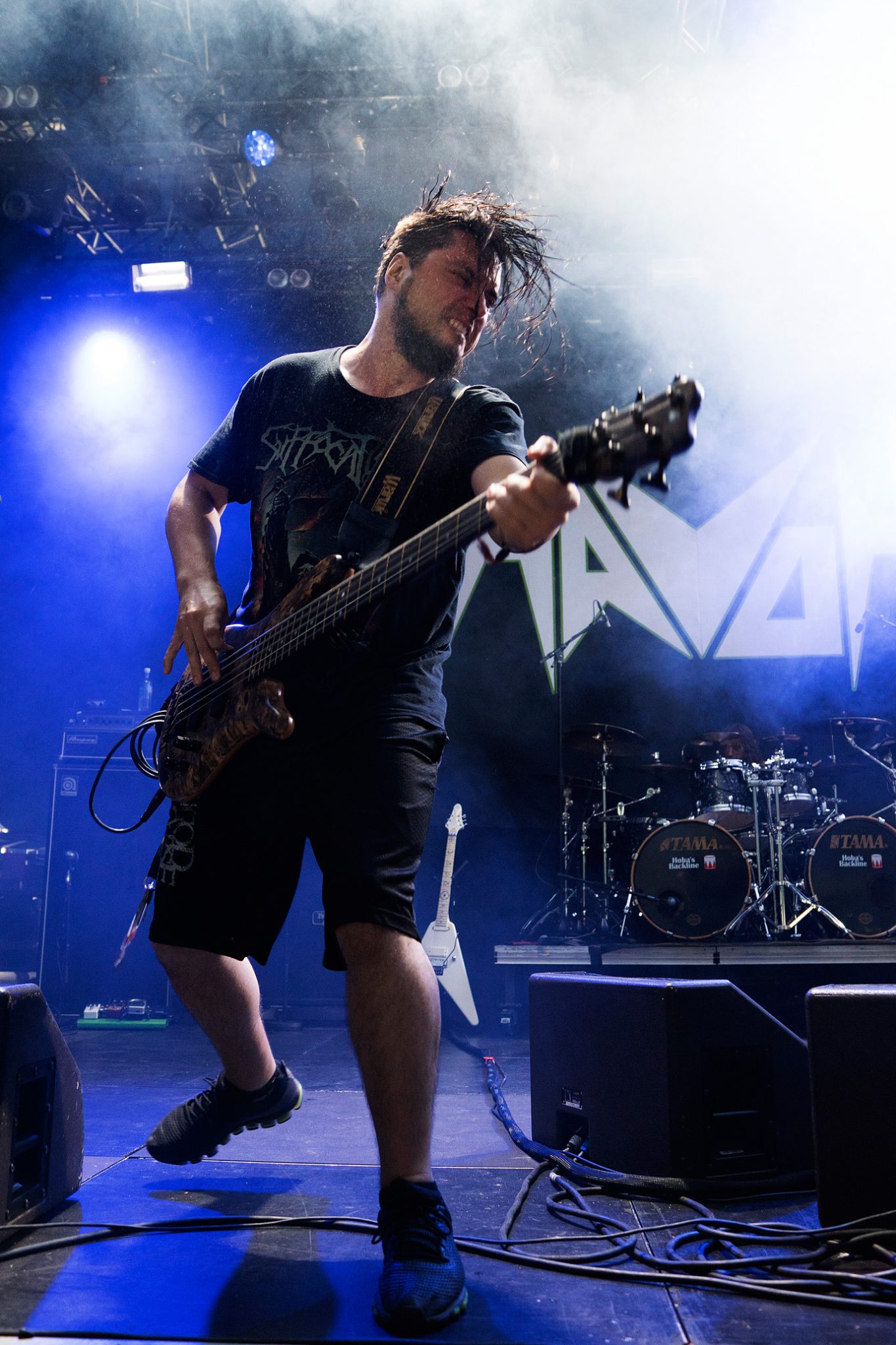 Nick Schendzielos, Havok