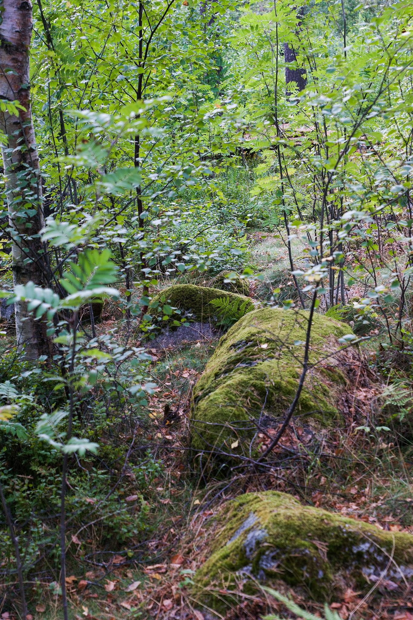 Stonecircle, Hurum approx 3500 B.C